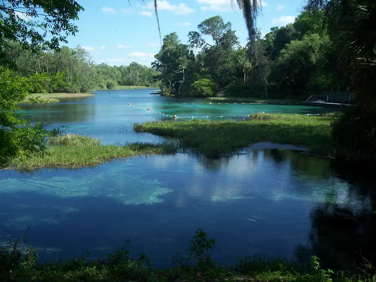 Clear blue Rainbow River winding between grassy shallows and lush trees at Rainbow Springs State Park