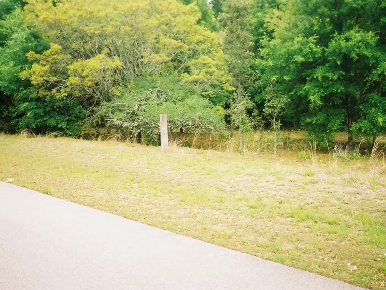 Paved Withlacoochee State Trail curving past a grassy edge and green trees near Inverness, Florida