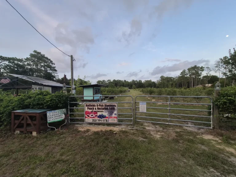 The front gates of Crystal River Orchard with the blueberry rows and the aqua well house behind them