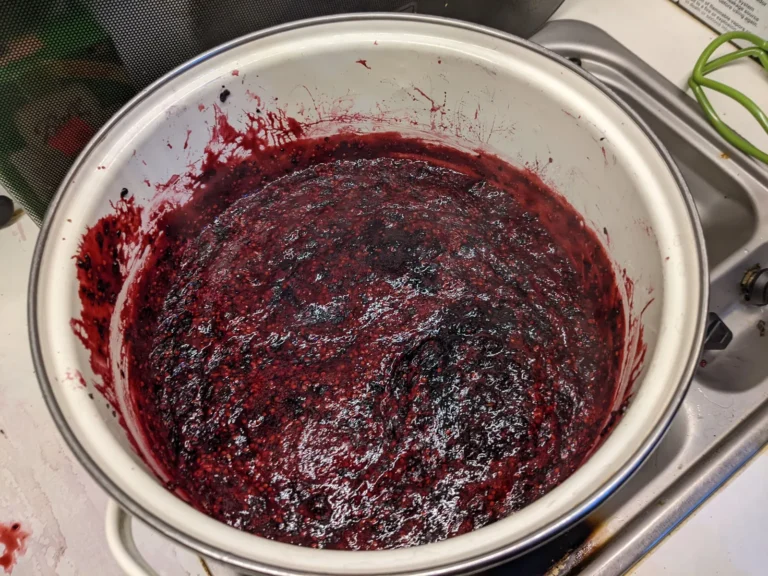 A pot of cooked mulberry jam, deep red-purple, on the stove