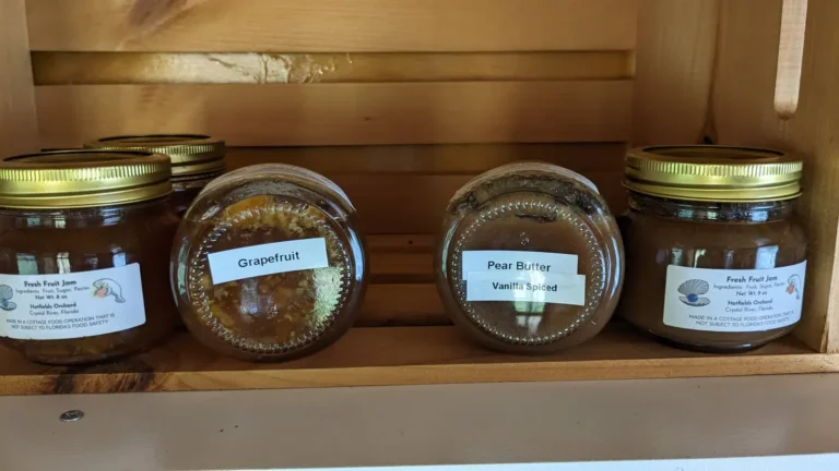 Jars of Grapefruit Marmalade and Vanilla Spiced Pear Butter on a wooden shelf