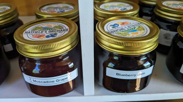 Jars of Muscadine Grape and Blueberry jam on the shop shelf