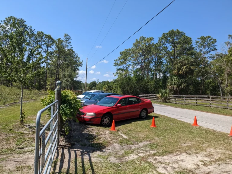 Cars parked at an angle in the grass parking area out front of Crystal River Orchard, with orange cones along the road