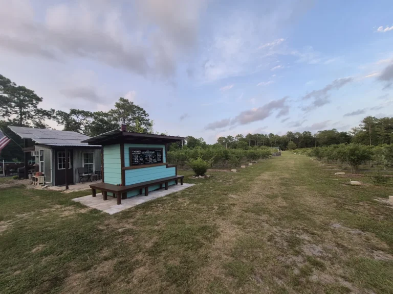 The aqua well house with its chalkboard beside the grassy walkway into the blueberry rows