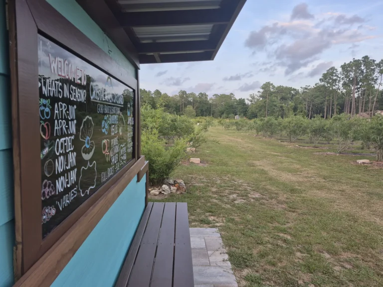 The hand-drawn welcome chalkboard on the well house, looking out over the blueberry rows